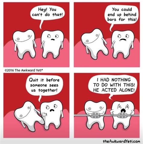 the truth about braces dental assisting awkward yeti funny comics funny comic strips