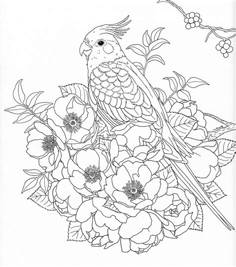 Realistic Nature Coloring Pages Idih Speed