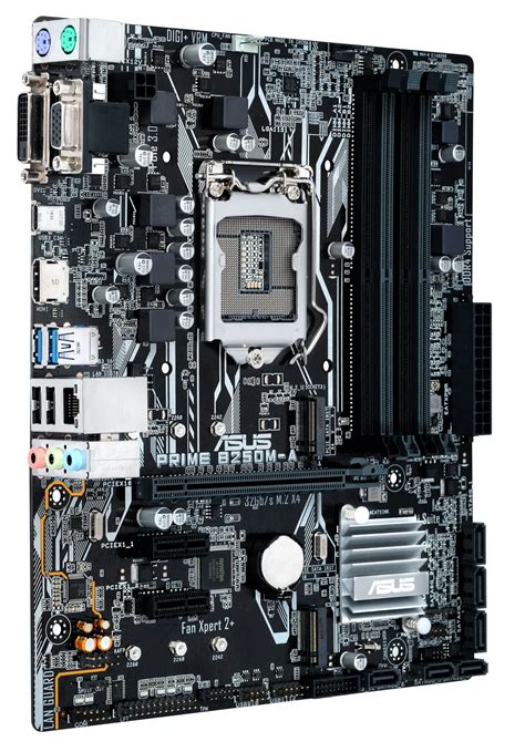 64 gb number of memory slot: ASUS PRIME B250M-A Motherboard | at Mighty Ape NZ