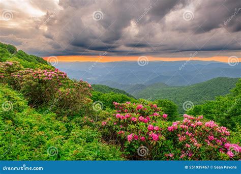 The Craggies In The Blue Ridge Mountains Stock Image Image Of