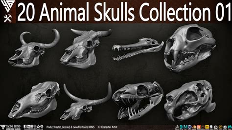 Artstation 20 Animal Skulls Collection 01 Resources