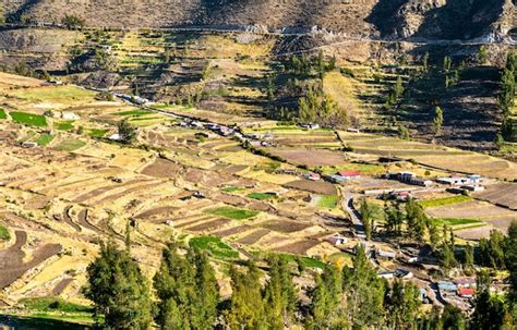 Premium Photo Terraced Fields At Huambo Near The Colca Canyon In Peru