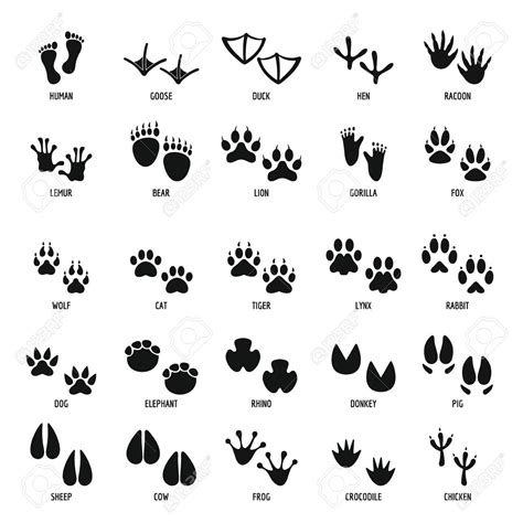 Download Pin on Vectors Patterns Floral