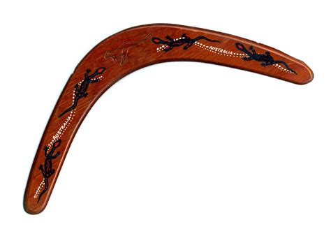 Boomerang Free Photo Download Freeimages