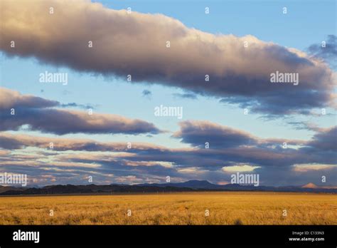 Storm Clouds Over Plains Of Karoo In Cradock District Eastern Cape