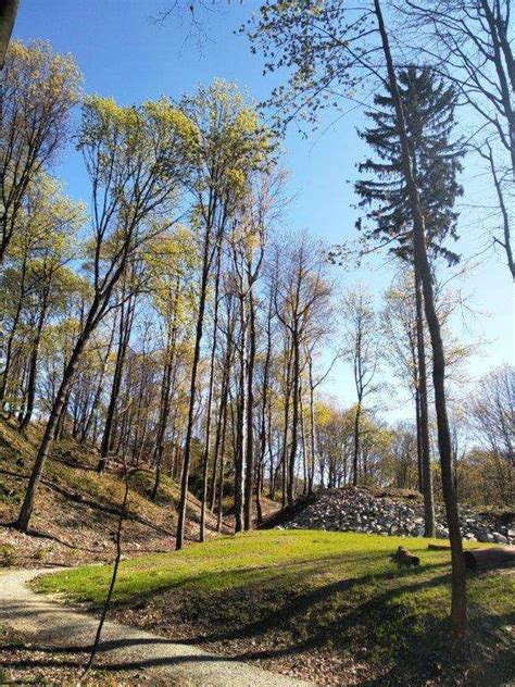 +420 604 25 35 51. Polevsko - arboretum, červen 2020 • Polevsko, oficiální ...