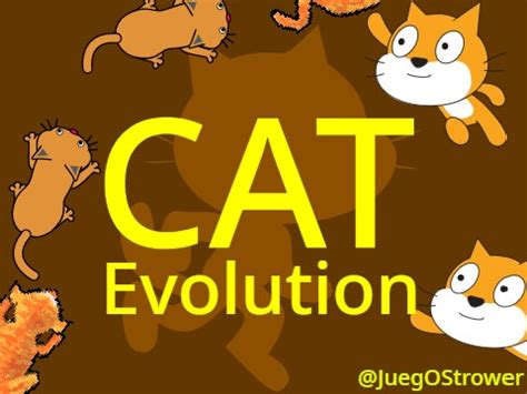 Scratch Cat Evolution Years Of History