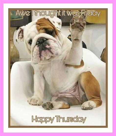 86 Best Happy Thursday Images On Pinterest