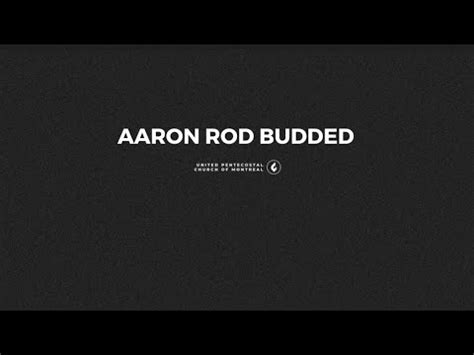 Aaron Rod Budded Bro Luis Garcia Sunday June 11 2023 YouTube