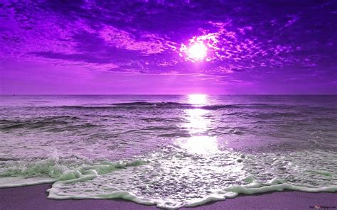 Purple Beach Sunset Hd Wallpaper Download