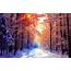 Beautiful Winter Backgrounds 51  Images