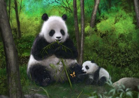 Panda Bears Wallpapers Wallpaper Cave