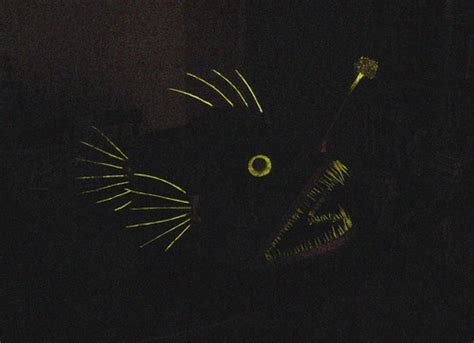 Angler Fish Mask Lights Off Helder Da Rocha Flickr