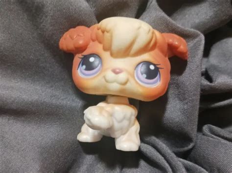 Rare Red Magnet Littlest Pet Shop Brown And White Poodle 37 099