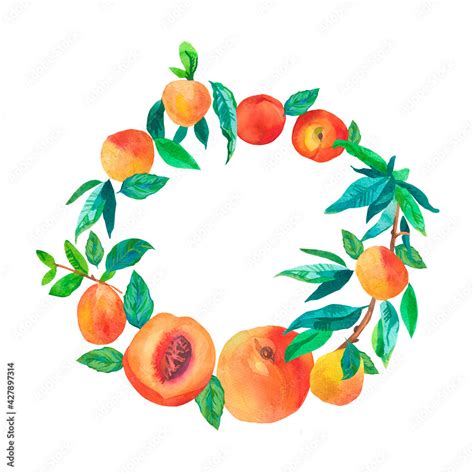 Watercolor Wreath With Peaches Summer Botanical Frame With Delicious