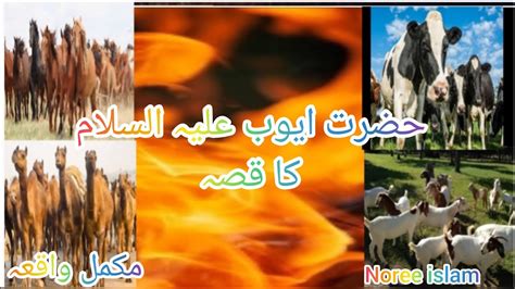 Hazrat AYUB A S Ka Waqia YouTube