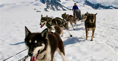 Dog Sledding In Alaska Experience Mushing Like An Alaskaorg