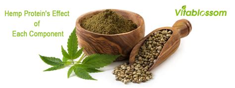 Hemp Protein S Effect Of Each Component Vitablossom