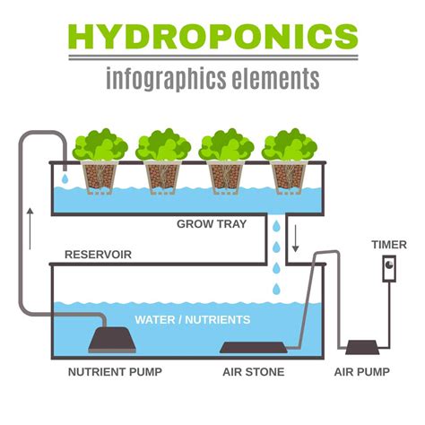 Hydroponic Systems 101 How They Work And Types