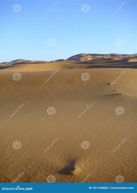 Desert Wasteland Sand Dune Sahara Stock Photo Image Of Wasteland