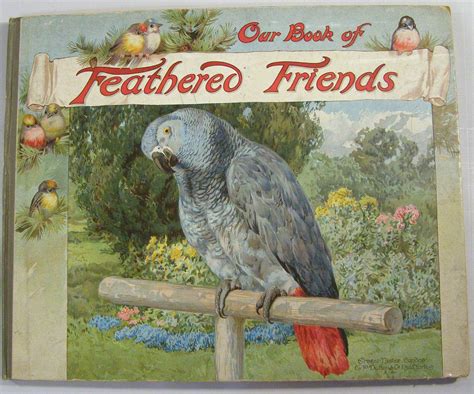 Our Book Of Feathered Friends Nister M A Hoyer Liliam Gask L L