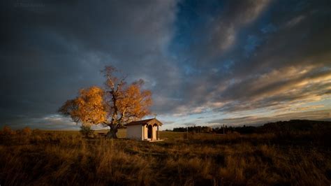 4589609 Fall Sunset Trees Landscape Nature Field Sunlight