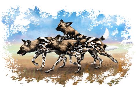 African Painted Dog Pack By Silvercrossfox On Deviantart