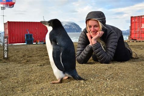 And My Job Im A Scientist In Antarctica Penguin For Scale