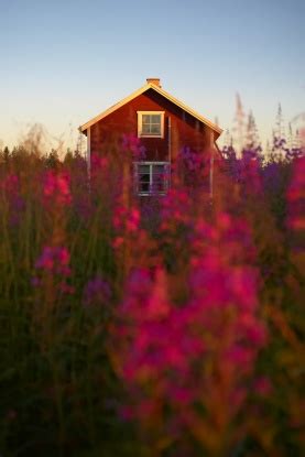 Sweden valley hotel & cabins. Kayaks and Cabins - Photo Essay