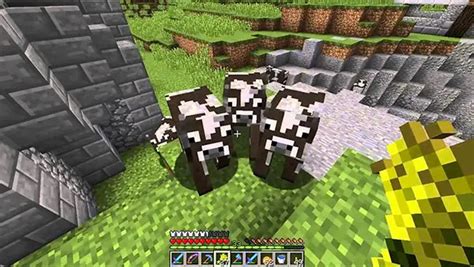 How Do You Tame A Cow In Minecraft And Breed It For Milk Geeky