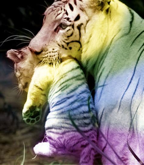Rainbow Tigers 2 By Mystykfyre On Deviantart