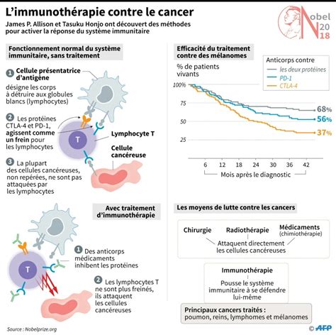 Ces mécanismes sont communs à plusieurs cancers et ces traitements récents ont des indications dans déjà sept types de cancers : Prix Nobel: les promesses de l'immunothérapie dans la ...