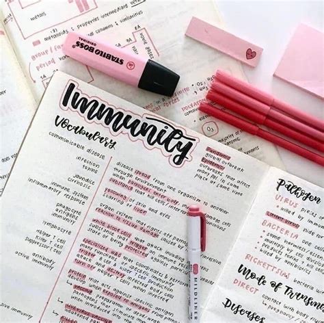 Apuntes Lindos College Notes School Organization Notes Aesthetic Notes