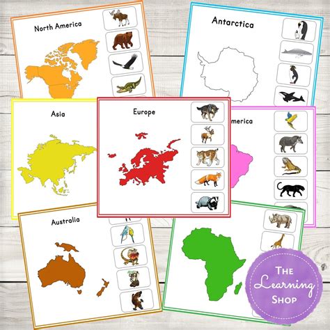 Animal Continents Activity Sheets Etsy Continents Activities