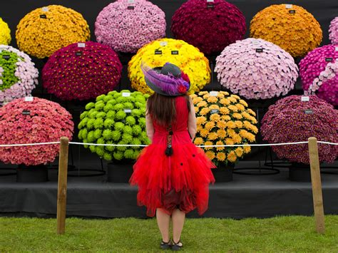 In Bloom 9 Beautiful Flower Shows Around The World Photos Condé