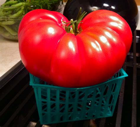 Evolve Vegan Biggest Tomato I Have Ever Seen