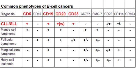 23 proposed strategy to classify leukemia using cd markers. CLL Topics Updates » Three Important Blood Tests