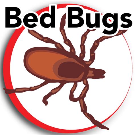 Bed Bugs Update Deratisation 1000x1000 Png Clipart Download