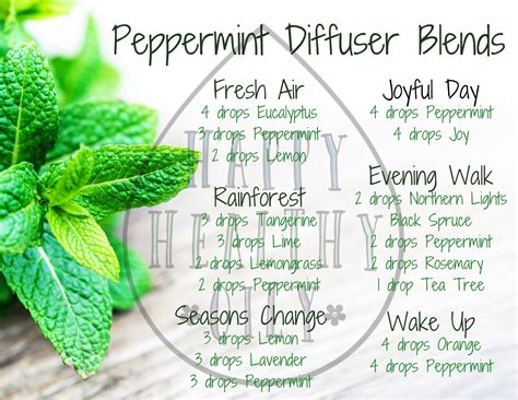 6 Refreshing Peppermint Diffuser Blends Happy Healthy Oily