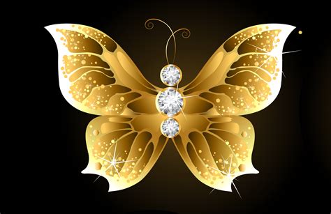Golden Butterfly 4k Ultra Hd Wallpaper Background Image 5034x3269