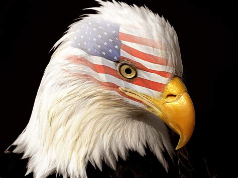 The Patriot Wallpapers Hd Wallpapers Id 4859