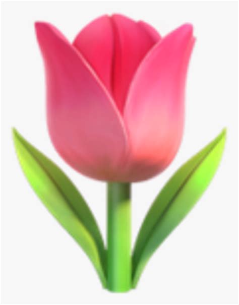 Pink Flower Clipart Emoji Tulip Emoji Hd Png Download Kindpng