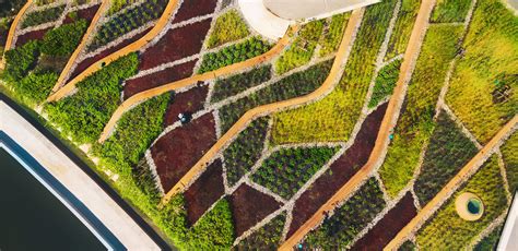 Landprocess Completes Turf Asias Largest Urban Rooftop Farm