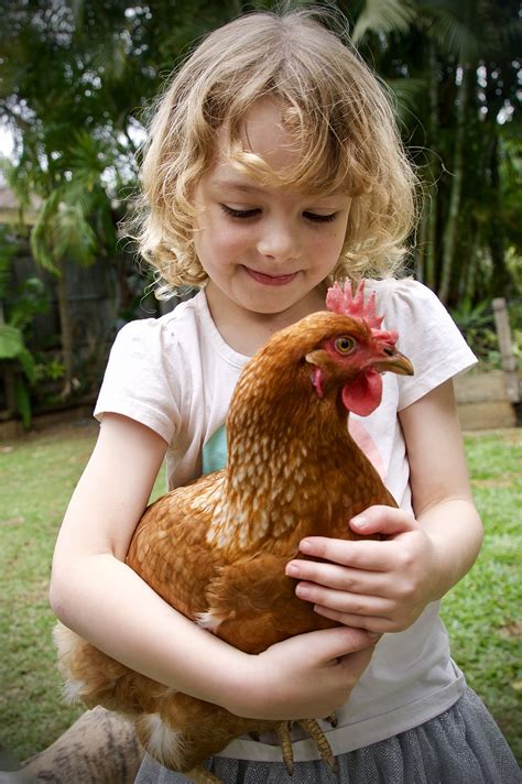 Why Chickens Make The Best Pets For Kids Omlet Blog Uk