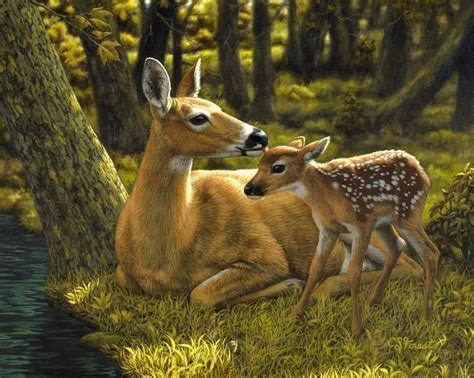Crista Forest — Inhasa Deer Painting Deer Art Cute Animals