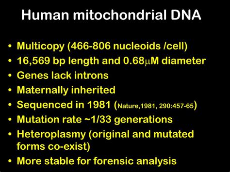 Ppt Mitochondrial Genome Powerpoint Presentation Free Download Id4788043
