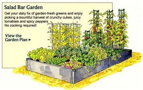 The Fresh Salad Garden Layout Vegetable Garden Planner Small Vegetable