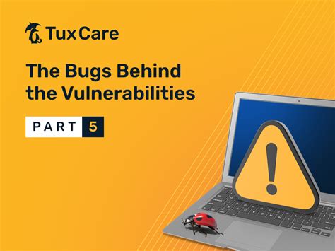 the bugs behind the vulnerabilities part 5