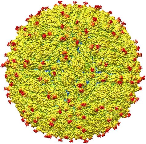 This Is What The Zika Virus Looks Like In Near Atomic Detail
