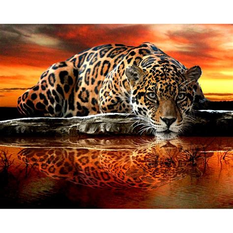 Fierce Cheetah 5d Diy Paint By Diamonds Kit Original Paint By Diamond
